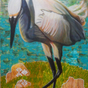 Awesome Egret Ready to Strike