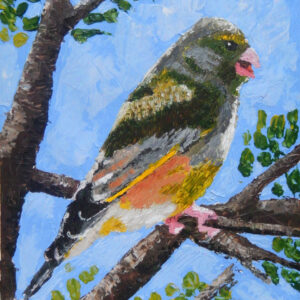 Glorious Greenfinch Painting
