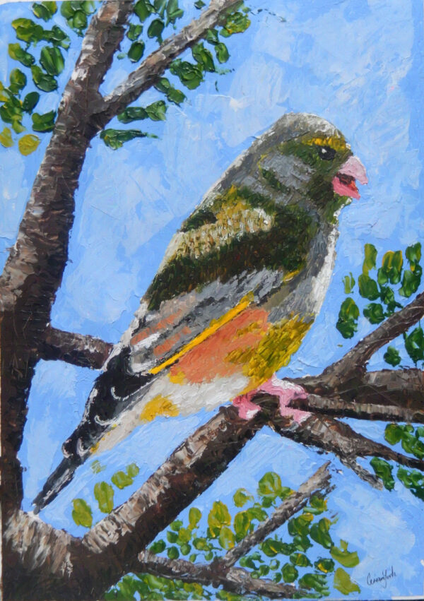 Greenfinch painting