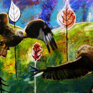 Magical Red Kites Above Welsh Hills