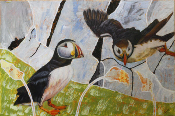 Atlantic puffin wall art