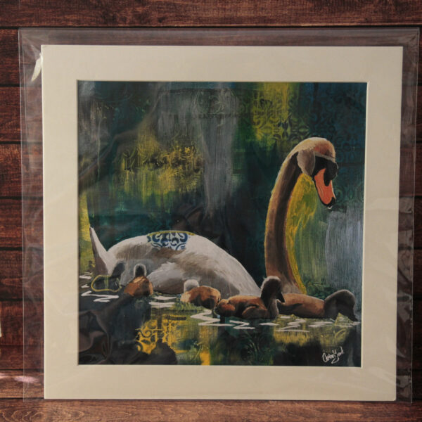 Swan art print