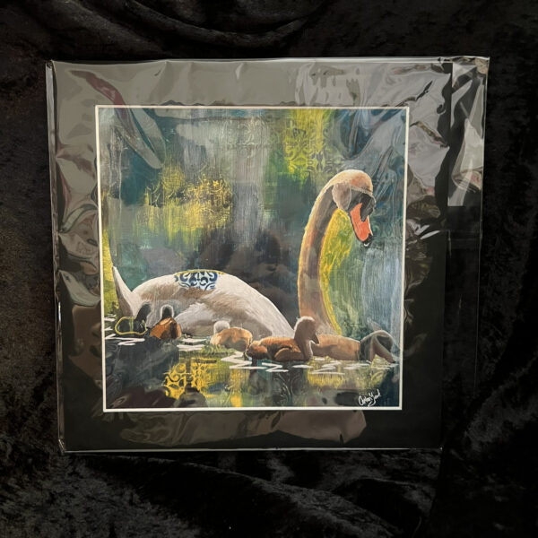 Swan art in black mount
