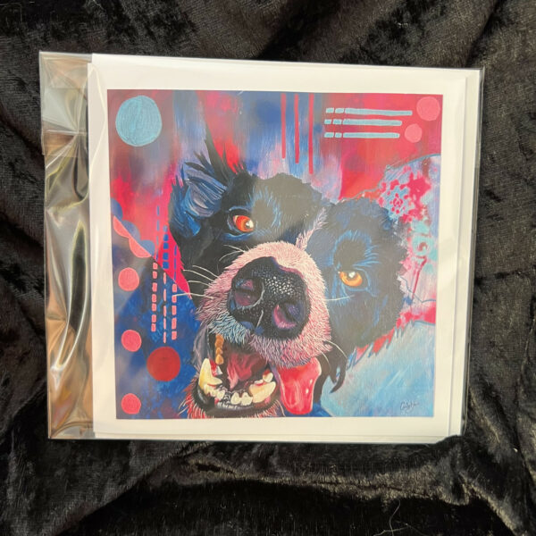 a picture of a dog in a plastic wrap
