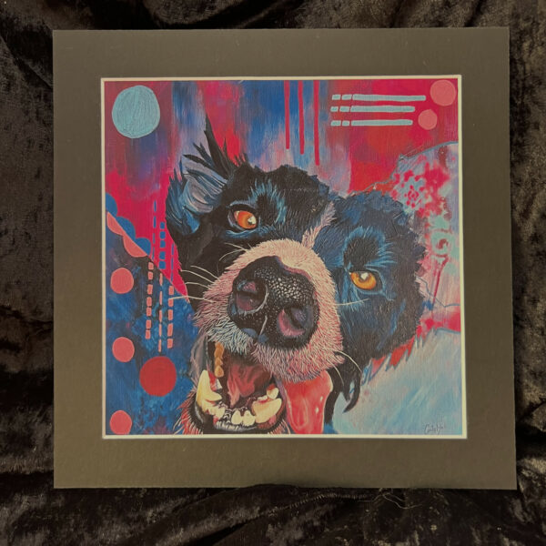 a framed picture of a dog