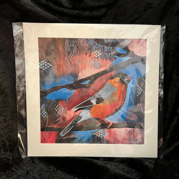 Bullfinch - Image 4