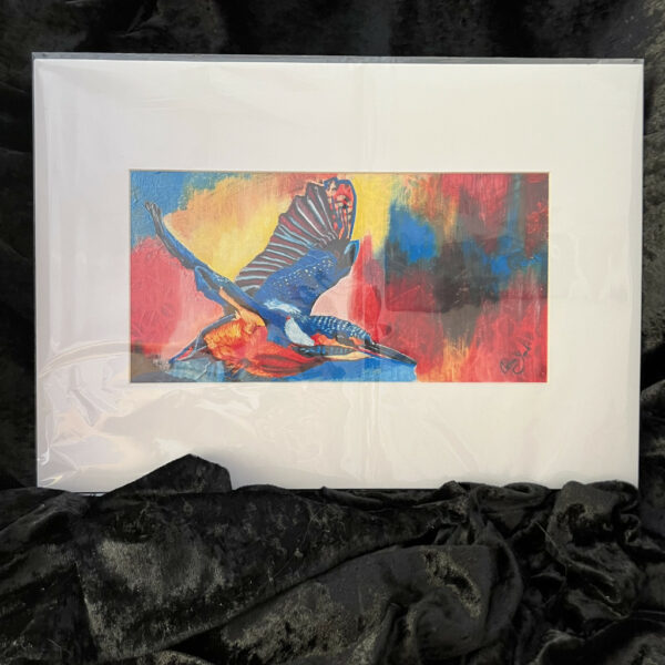 Kingfisher art for sale show here as a mounted print