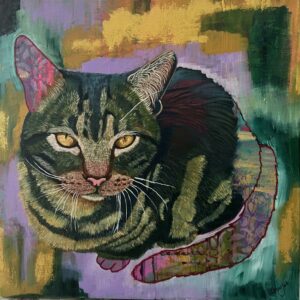 Cat expressive pet portrait