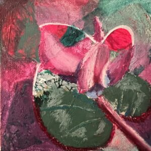 Winter Cyclamen