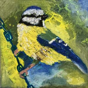 Blue tit bird